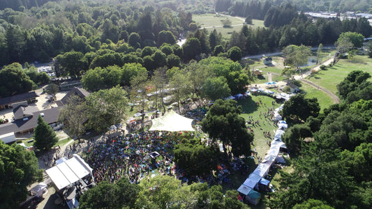 Redwood Mountain Faire in Felton, California - Embracing Community and Nature