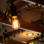 Bistro Lighting